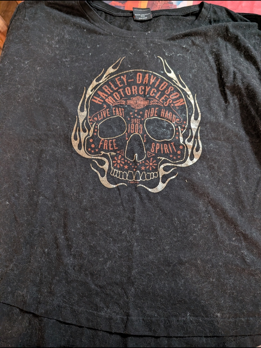 Harley-Davidson Black Skull Flame Graphic Tee